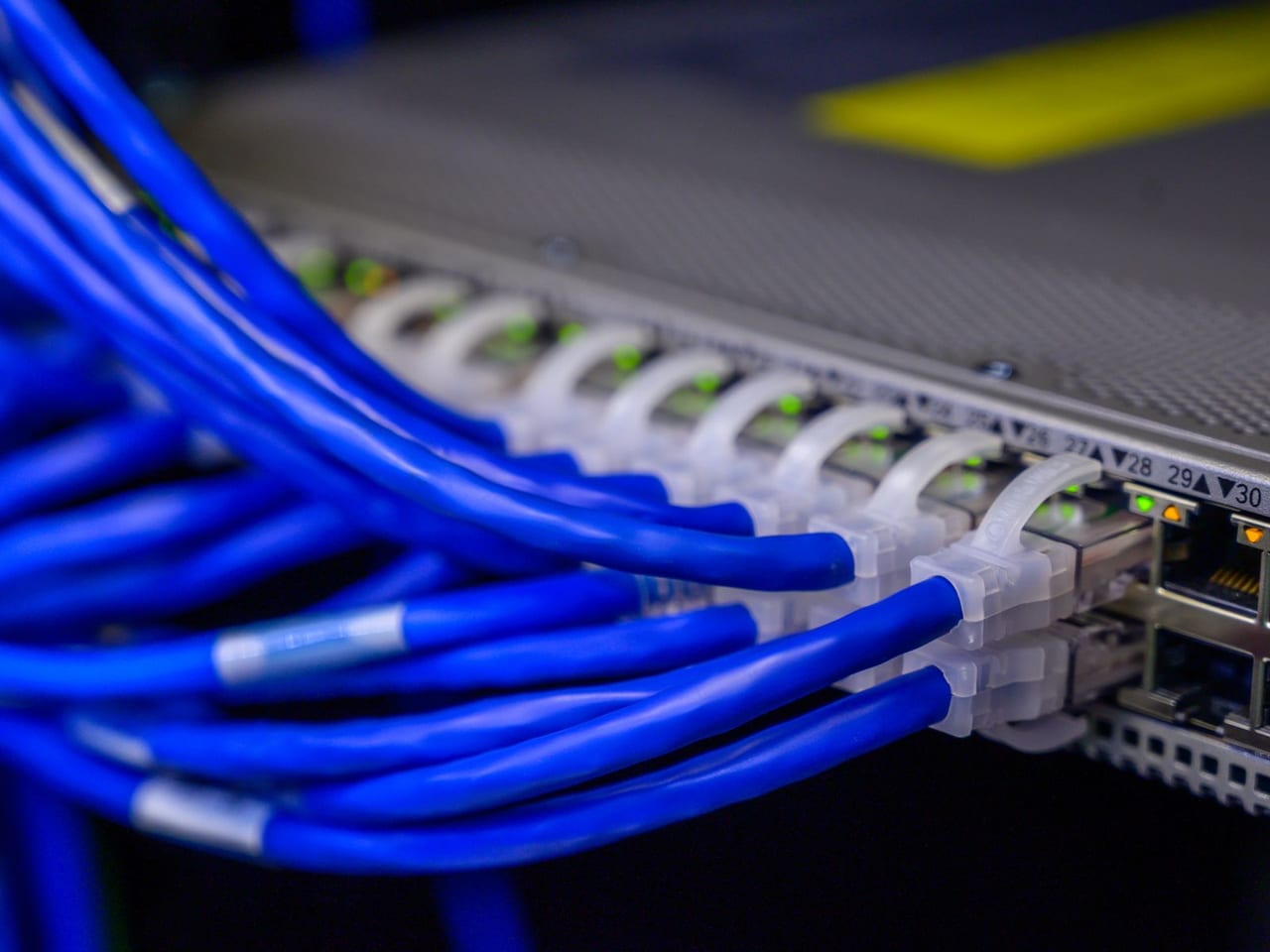 Domain & Hosting Management